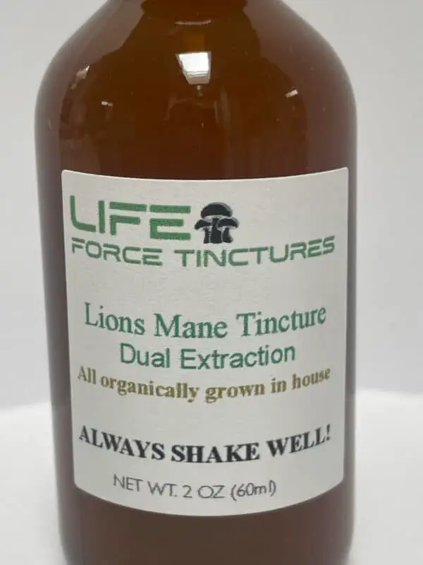 lions mane tincture 2 ounce