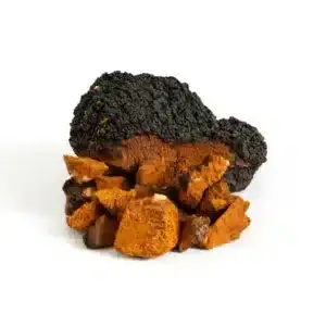 chaga